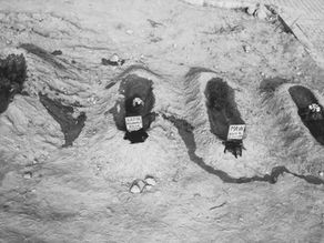 Böcek ailesinin ölümünde tutuklu sayısı sekize çıktı