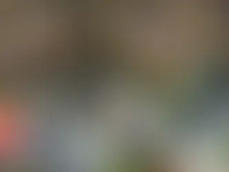 Fenerbahçe’de Devler Ligi heyecanı: Benfica önünde avantaj arıyor