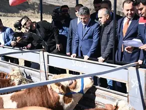 2028'den itibaren kırmızı et ithalatı sona erecek