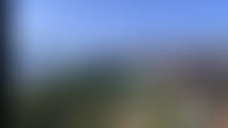 Yalova-Bursa sınırındaki yangın kontrol altına alındı