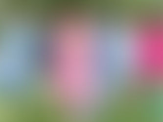 İlkbahar Modasında Renk Paletleri