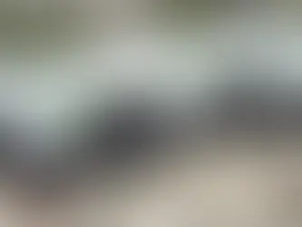 Ahbap Derneği'ne kayyum atandı