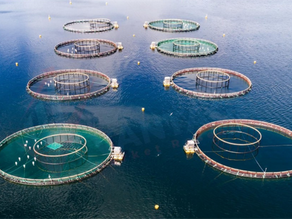 Balıkçılık ve Su Ürünleri Yetiştiriciliğine Destek