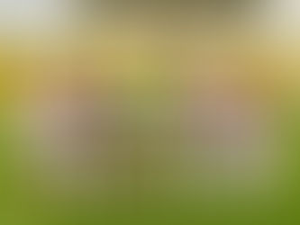 U19 Millî Takımımız, Moldova'yı 2-1 Yendi