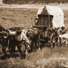60 The Donner Party was no Party