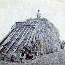 41 Harvesting Hay the Old Fashioned Way
