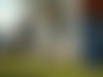 The Importance of Property Inspections in Real Estate Transactions