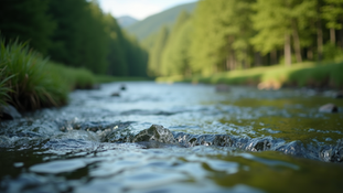 Navigating Trauma: Effective Strategies for Healing