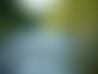 Navigating Trauma: Effective Strategies for Healing