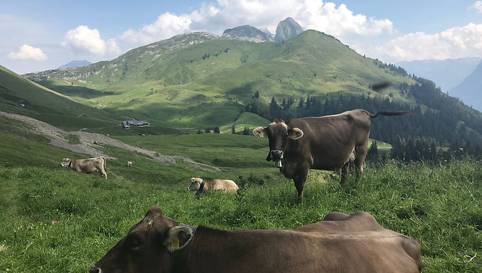 Wanderwochenende Pragelpassweg