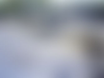 Luxury car segment...