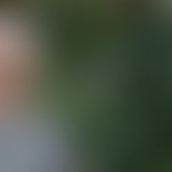 Pedicure for older men...