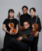 Opus 76 Quartet