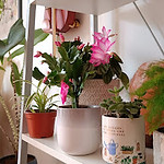 IMG20221127123648.jpg