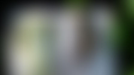 Artist of the Week: Gisele K