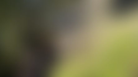 Seniors of CPS: Devin LeBlanc