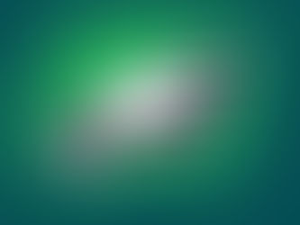 I Would Rather Pour Bleach Into My Eyes Than Watch The Eagles Play Football