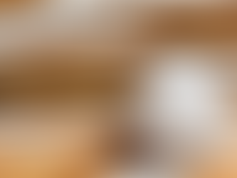 Everything You Need To Know About Mens Volleyball