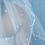 Thumbnail: Custom Made Veils