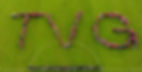 tvg.jpg