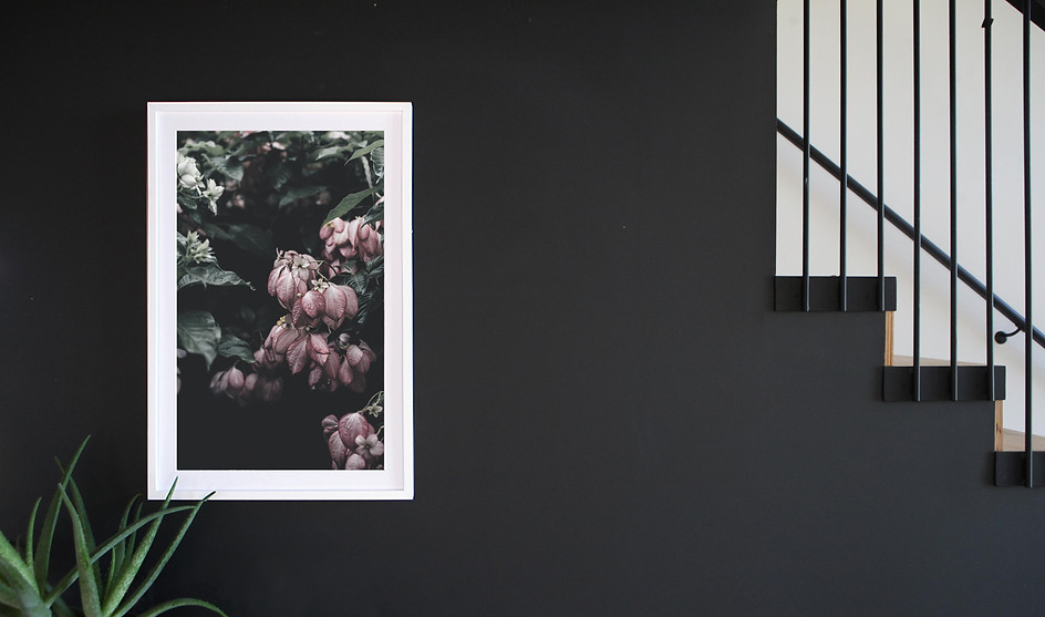 Modern Picture Frames