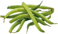 ejote.png