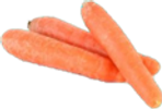 polv.png