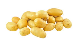 pa_edited.png