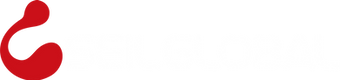 Seil Global white.png