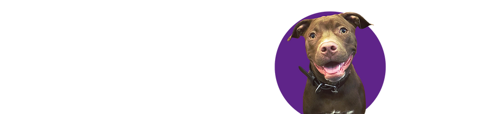 Untitled design (1).png
