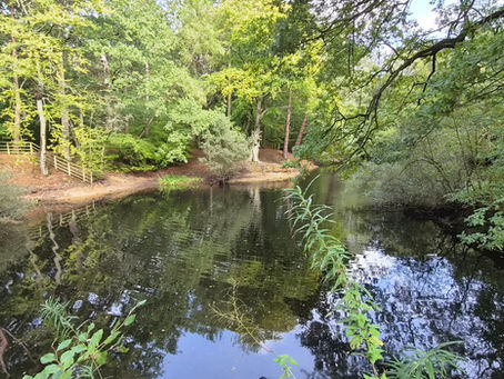 Hornbeam Park Trail