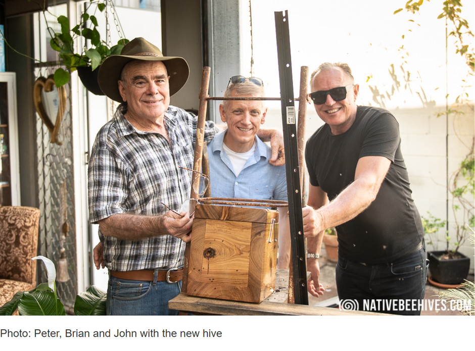 Native Bee Hive Hive Split and Transfer @prestocreatives