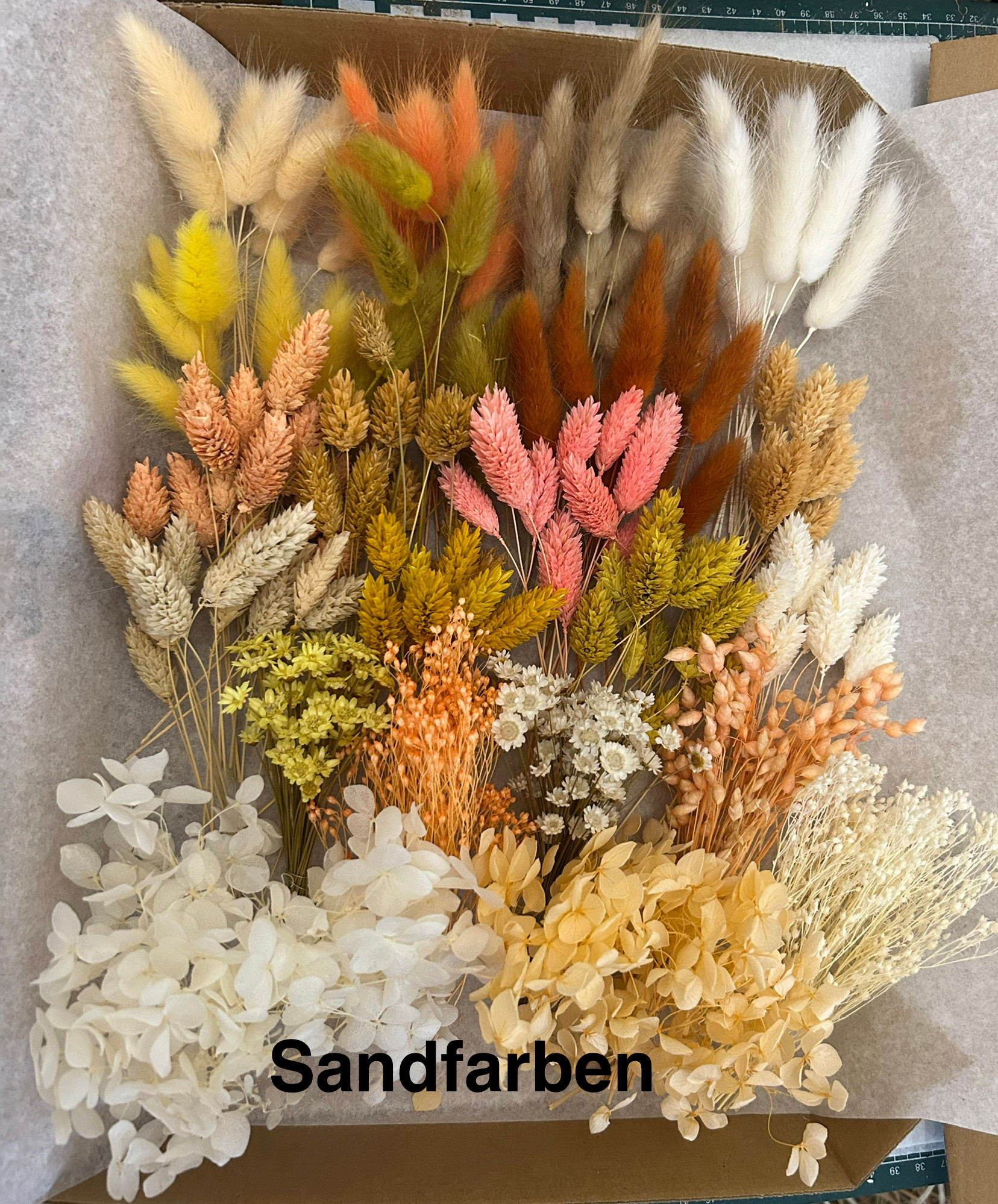 Trockenblumen Box Wüstenglanz