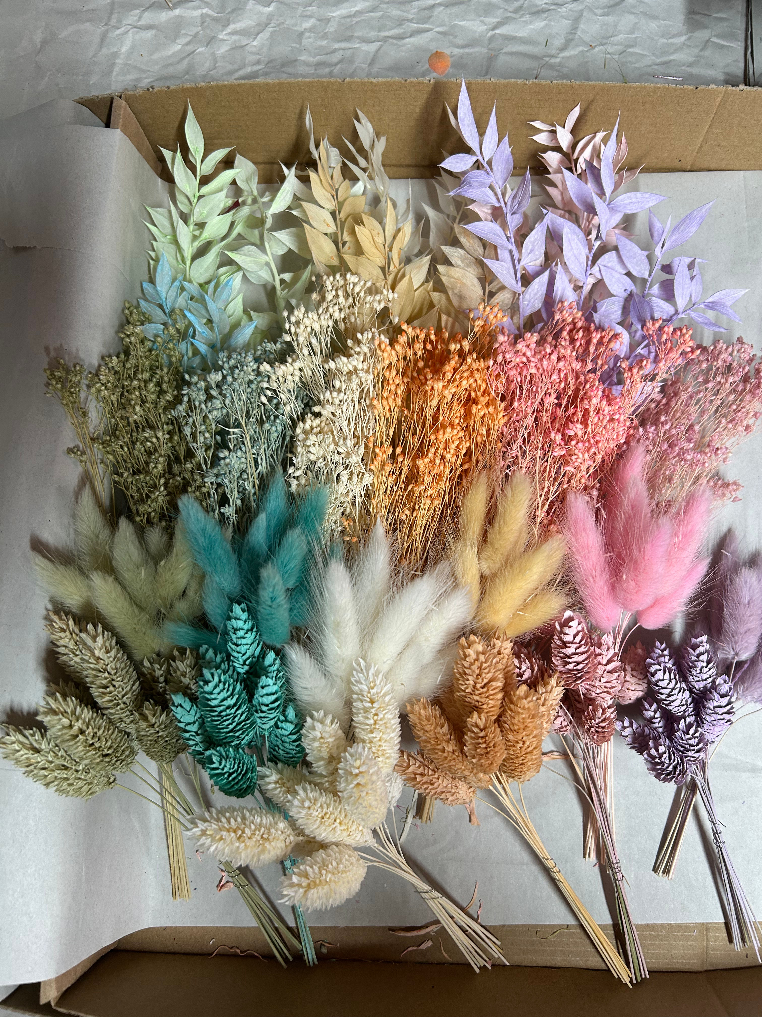 Trockenblumen Box Pastellblüte
