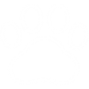 jhkhgjhg.png