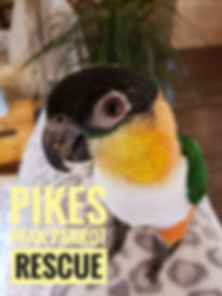 Digit.jpeg
