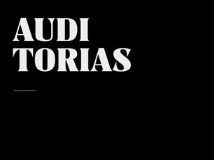 ¿Qué es una Auditoría visual?
