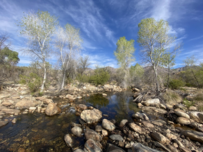 monday writing motivation