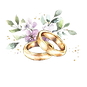 f3fe1b35756de6894ac1e4450d57128d-removebg-preview (1).png