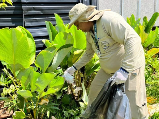 Agentes de saúde fazendo controle da dengue