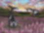 Riding the Wind.jpg