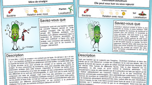Deux nouvelles fiches de microbes