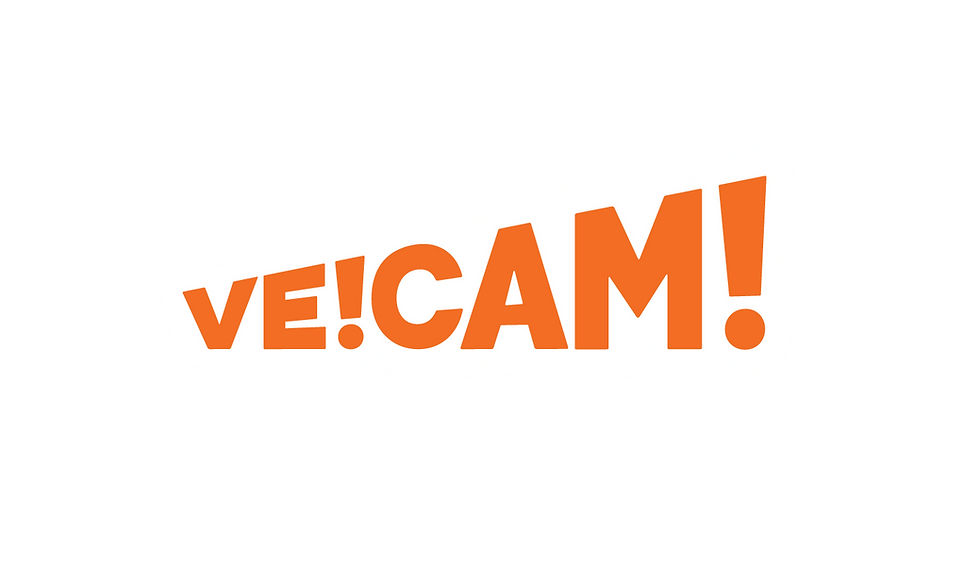 Veicam RGB smaller.png