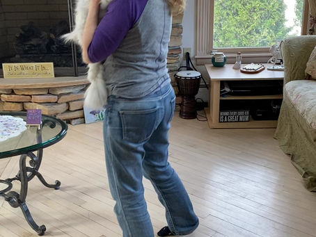  The Law of Attraction and Animals