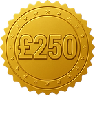 250 price _edited.png