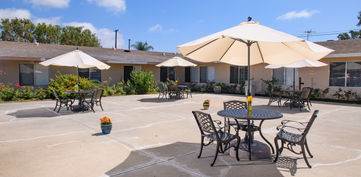 Patio Test_1-Maybe Final.JPG