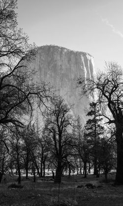 Walking in Majesty-El Capitan"