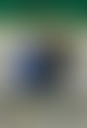 I vincitori dei rodei Under