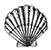 sea shell.png