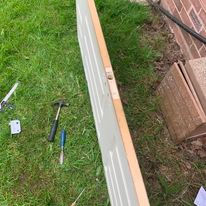 347225982_554605720198656_2004373547560255544_n